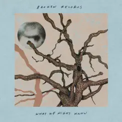 What We Might Know by Broken Records album reviews, ratings, credits