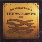 The Secret Life of the Waterboys (1981-1985) artwork