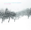 Wayne Horvitz Gravitas Quartet - Between Here and Heaven