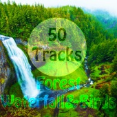50 Tracks Forest Waterfall & Birds Sounds with Ambient Music Nature Sounds for Meditation Relaxation Spa Study artwork