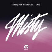 Misty (feat. Robert Owens) [Deep Mix] artwork