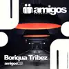 Amigos 038 Boriqua Tribez - Single album lyrics, reviews, download