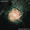 Drugs for Robocop - Meatgenerator lyrics