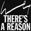 There's a Reason - Single