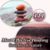 111 Most Effective Healing Sounds of Nature: Songs to Help You Relax, Sleeping Well and Dreaming, Insomnia Cure, Tranquility and Best Relaxing Music for Asian Meditation, Zen Yoga and Spa