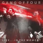 Live... In the Moment artwork