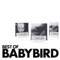 The F-Word - Babybird lyrics
