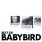 Best of Babybird