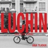 Ana Tijoux - Luchin