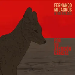 Por su Atención, Gracias - Fernando Milagros