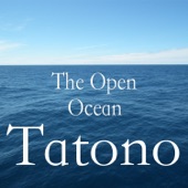 The Open Ocean artwork