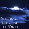 Sleeping Through the Night – Calm Soothing Music for Trouble Sleeping for Babies and Toddlers, Natural Sleep Aids, Nature Sounds for Relaxation