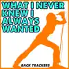 What I Never Knew I Always Wanted (Instrumental) - Single album lyrics, reviews, download