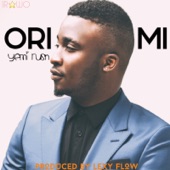 Ori MI artwork