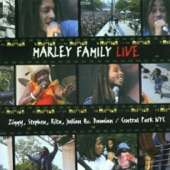 Natty Dread (Live) artwork