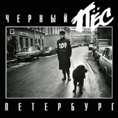 Чёрный пёс Петербург (Live) artwork