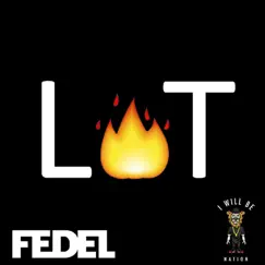 Lit - Single by Fedel album reviews, ratings, credits