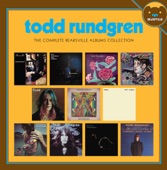 Todd Rundgren - Love of the Common Man