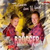 Tränen im Wind - Single, 2015