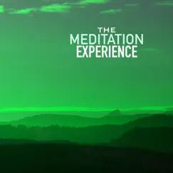 The Meditation Experience - Find Inner Peace Thanks to Relaxing Music by Meditation Spirit & Meditation Experience album reviews, ratings, credits