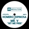 Set Me Free (feat. Mr. V) - Homero Espinosa lyrics