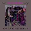 Gulag Internum