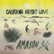 I Want to Know What Love Is - Amason lyrics