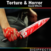 Torture and Horror Sound Effects - Digiffects Sound Effects Library