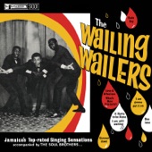 The Wailers - What's New Pussycat?