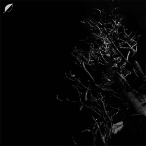 Heights - EP