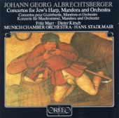 Concerto for Jew's Harp, Mandora & Orchestra in F Major: III. Menuetto. Moderato artwork