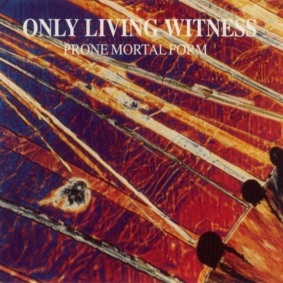 Cover artwork for Voice of Disrepair