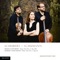 Piano Trio No. 2 in E-Flat Major, Op. 100: II. Andante con moto artwork