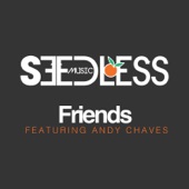 Friends (feat. Andy Chaves) artwork