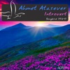 Ahmet Atasever - Introvert