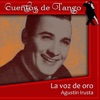 Agustín Irusta