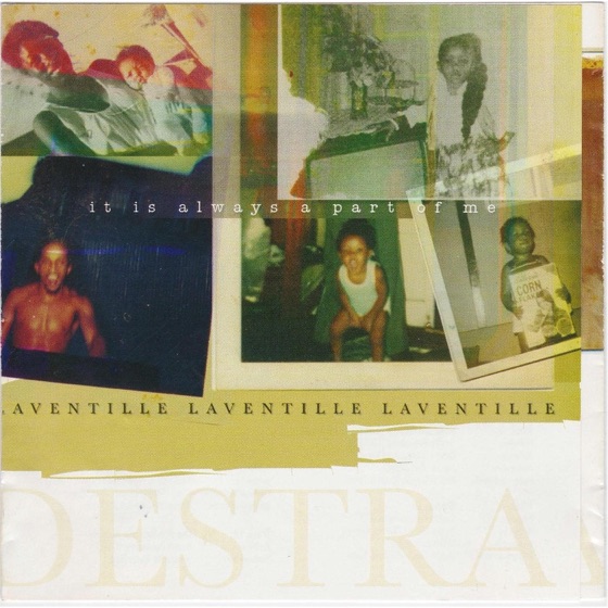 Cover artwork for Fly