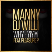 Why (YiYiYi) [feat. Pleasure P] artwork