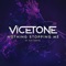 Nothing Stopping Me (feat. Kat Nestel) - Vicetone lyrics