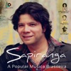 A Popular Música Brasileira