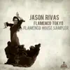 Flamenco House Sampler album lyrics, reviews, download