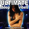 Ultimate Deep Vibes (A Voyage into Deephouse Vibes), 2016
