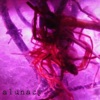 Alunacy
