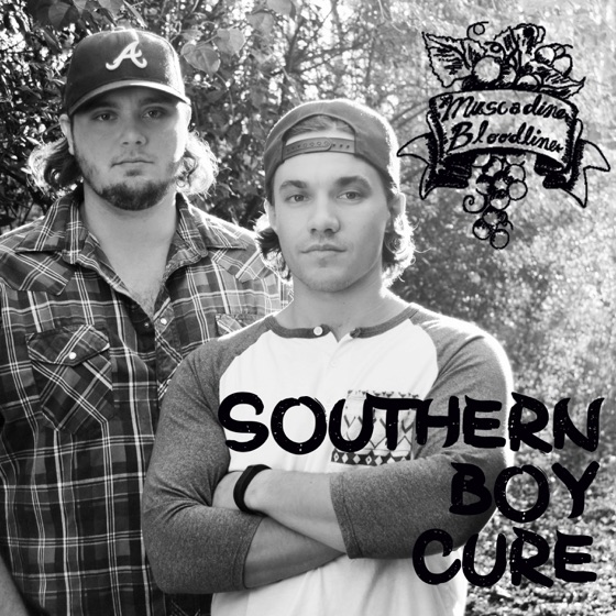 Cover artwork for Southern Boy Cure
