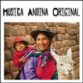 Música Andina Original artwork