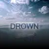 Drown Pt. 2 (feat. Evan Michael Green) song lyrics