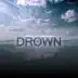 Drown Pt. 2 (feat. Evan Michael Green) song reviews