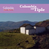 Colombia en Tiple (Colombia en Instrumentos) artwork