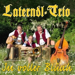 Laterndl Trio - Komm unter meinen Regenschirm