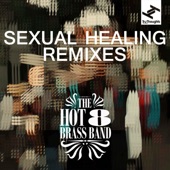 Sexual Healing Remixes artwork